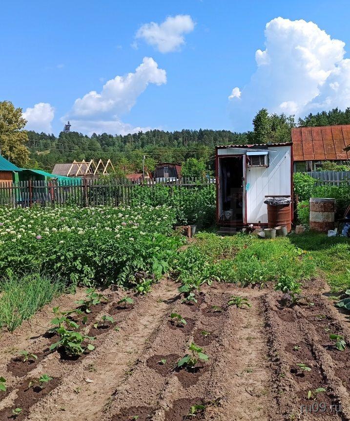 Садовое товарищество мотор